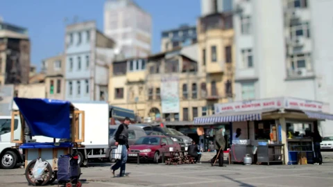 Stock Video Fish Market Live Wallpaper For PC - Free Live Wallpaper