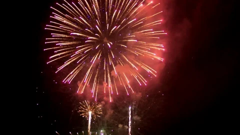 Stock Video Fireworks Rising From The Bottom Live Wallpaper For PC - Free Live Wallpaper