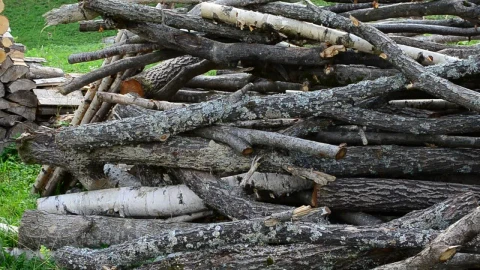 Stock Video Firewood Stacked In A Field Live Wallpaper For PC - Free Live Wallpaper