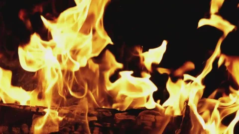 Stock Video Firewood Burning On Black Background Live Wallpaper For PC - Free Live Wallpaper