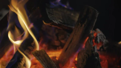 Stock Video Firewood Burning In A Campfire Live Wallpaper For PC - Free Live Wallpaper