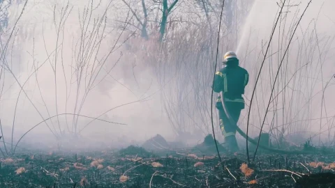 Stock Video Firefighters Extinguishing A Fire In The Forest Live Wallpaper For PC - Free Live Wallpaper