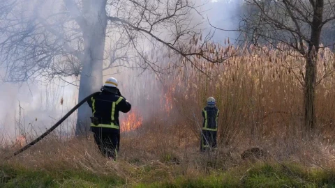 Stock Video Firefighters And Hoes Extinguishing The Fire Live Wallpaper For PC - Free Live Wallpaper
