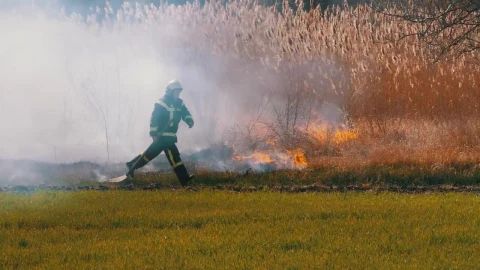 Stock Video Firefighter Man Running In The Filed Live Wallpaper For PC - Free Live Wallpaper