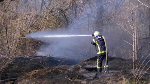 Stock Video Fire Fighter With Water Hose Live Wallpaper For PC - Free Live Wallpaper