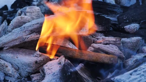 Stock Video Fire Burns A Piece Of Wood Live Wallpaper For PC - Free Live Wallpaper