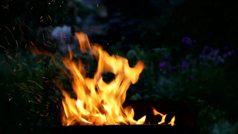 Stock Video Fire Burning In A Garden Live Wallpaper For PC - Free Live Wallpaper