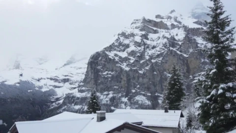 Stock Video Fir Trees In Snowy Mountain Town Live Wallpaper For PC - Free Live Wallpaper