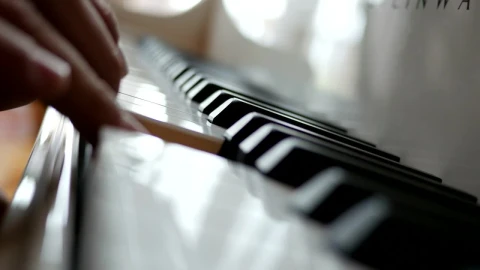 Stock Video Fingers Playing The Piano Live Wallpaper For PC - Free Live Wallpaper