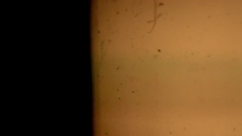 Stock Video Film Grain Close Up Live Wallpaper For PC - Free Live Wallpaper