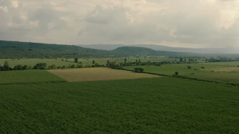 Stock Video Fields On A Cloudy Day Live Wallpaper For PC - Free Live Wallpaper