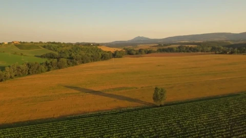 Stock Video Fields Of Crops At Sunset Live Wallpaper For PC - Free Live Wallpaper