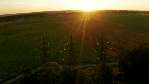 Stock Video Field And Powerlines Live Wallpaper For PC - Free Live Wallpaper