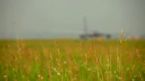 Stock Video Field And Airplane In The Background Live Wallpaper For PC - Free Live Wallpaper