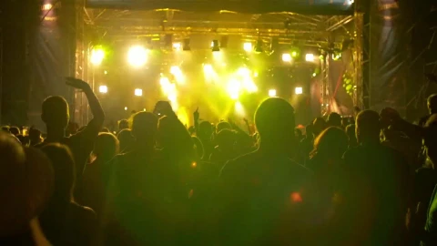 Stock Video Festival Crowd At Night Live Wallpaper For PC - Free Live Wallpaper