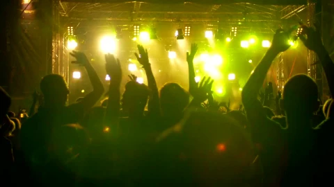 Stock Video Festival Crowd Jumping And Dancing At Night Live Wallpaper For PC - Free Live Wallpaper