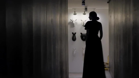 Stock Video Female Silhouette In Long Dress Live Wallpaper For PC - Free Live Wallpaper