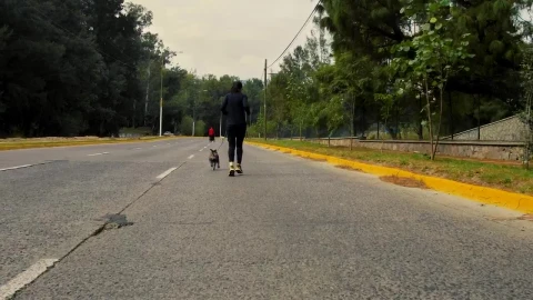 Stock Video Female Runner Walks Her Dog Live Wallpaper For PC - Free Live Wallpaper