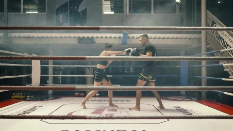 Stock Video Female Kickboxer Training With Her Coach Live Wallpaper For PC - Free Live Wallpaper