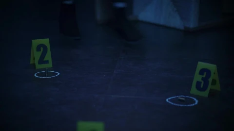 Stock Video Female Detective Analyzes Bullet Casings At A Crime Scene Live Wallpaper For PC - Free Live Wallpaper