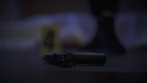 Stock Video Female Detective Analyzing A Gun At A Crime Scene Live Wallpaper For PC - Free Live Wallpaper