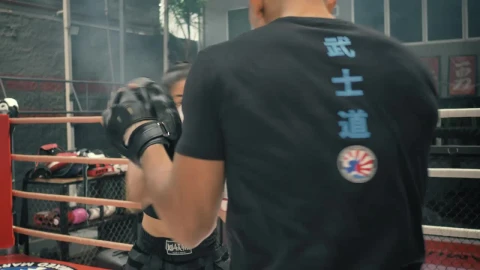 Stock Video Female Boxer Training With Her Coach Live Wallpaper For PC - Free Live Wallpaper