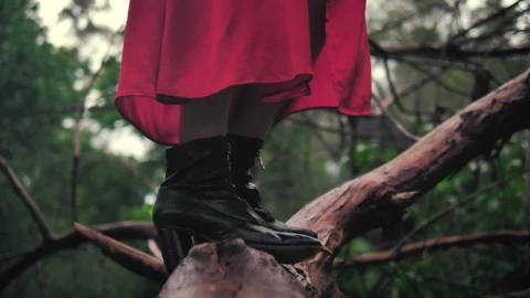 Stock Video Feet Of A Woman Standing On A Large Branch Seen Live Wallpaper For PC - Free Live Wallpaper