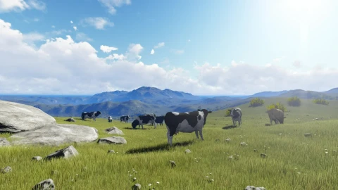 Stock Video Feeding Cows On A Sunny Meadow In D Live Wallpaper For PC - Free Live Wallpaper