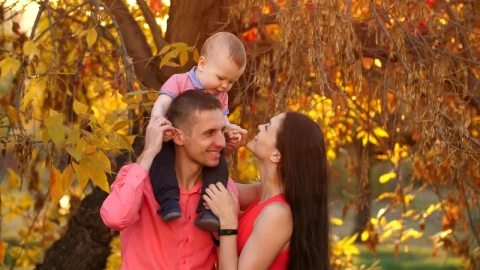 Stock Video Father And Mother With Their Baby In Autumn Nature Live Wallpaper For PC - Free Live Wallpaper
