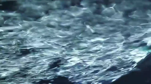 Stock Video Fast Moving Liquid From Below Live Wallpaper For PC - Free Live Wallpaper