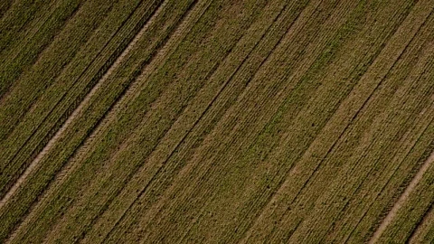Stock Video Farmland From Above Live Wallpaper For PC - Free Live Wallpaper
