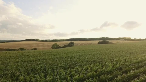 Stock Video Farmland During The Summer Months Live Wallpaper For PC - Free Live Wallpaper