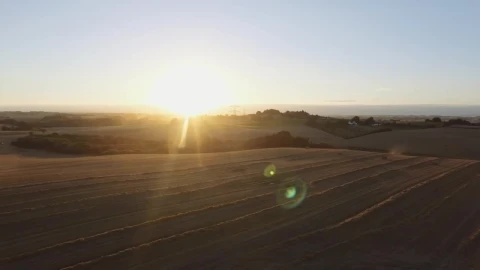 Stock Video Farmland At Sunset Live Wallpaper For PC - Free Live Wallpaper