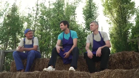 Stock Video Farming Workers Taking A Break Live Wallpaper For PC - Free Live Wallpaper
