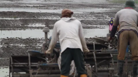 Stock Video Farmers Ploughing A Field Live Wallpaper For PC - Free Live Wallpaper