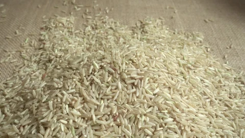 Stock Video Farmer Holding Rice Live Wallpaper For PC - Free Live Wallpaper