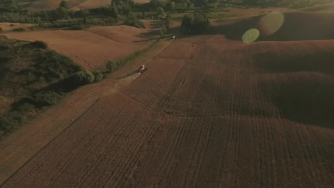 Stock Video Farmer Harvesting Crops Live Wallpaper For PC - Free Live Wallpaper