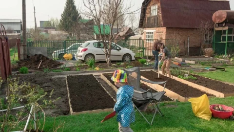 Stock Video Family Working In The Garden Live Wallpaper For PC - Free Live Wallpaper