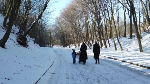 Stock Video Family Walking On A Winters Day Live Wallpaper For PC - Free Live Wallpaper