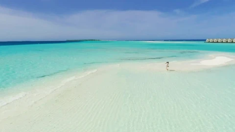 Stock Video Family Walking On A Beautiful Beach Live Wallpaper For PC - Free Live Wallpaper