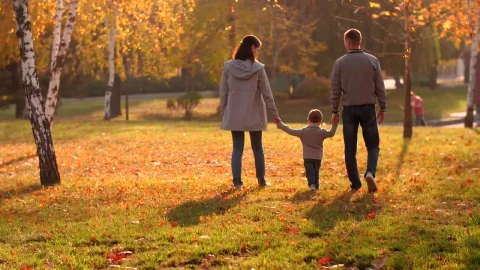 Stock Video Family Walking In The Park Full Shot Live Wallpaper For PC - Free Live Wallpaper