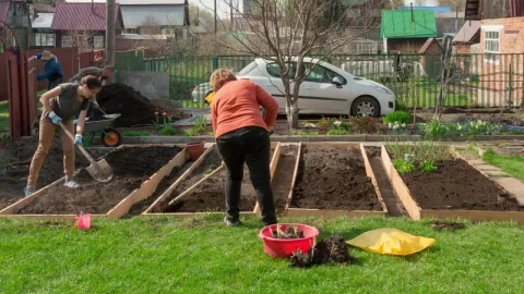 Stock Video Family Taking Care Of The Garden Live Wallpaper For PC - Free Live Wallpaper
