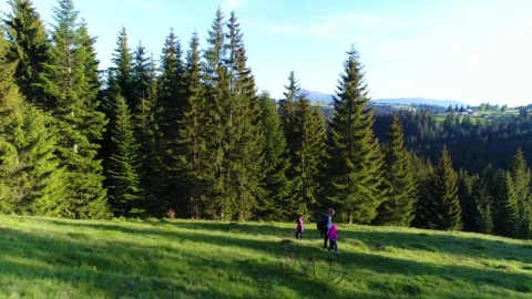 Stock Video Family Taking A Walk In The Meadow Next To The Live Wallpaper For PC - Free Live Wallpaper