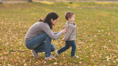 Stock Video Family Spending Time Together In The Park Live Wallpaper For PC - Free Live Wallpaper