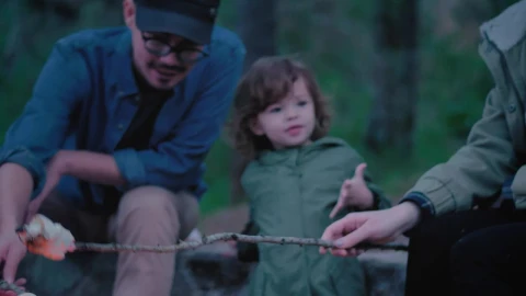 Stock Video Family Roasting Marshmallows Over A Campfire Live Wallpaper For PC - Free Live Wallpaper