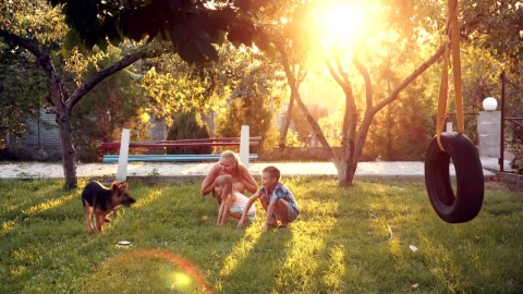 Stock Video Family Playing With A Dog In The Garden Live Wallpaper For PC - Free Live Wallpaper