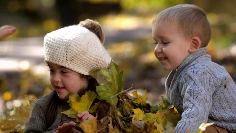 Stock Video Family Playing In The Autumn Leaves Live Wallpaper For PC - Free Live Wallpaper