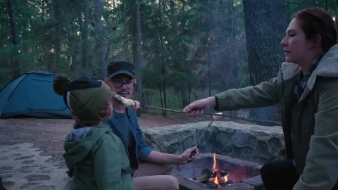 Stock Video Family In A Camp In The Woods Live Wallpaper For PC - Free Live Wallpaper