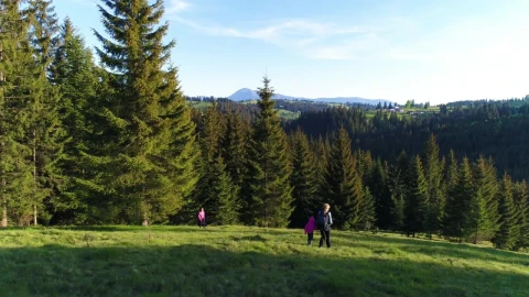 Stock Video Family Exploring The Meadow Live Wallpaper For PC - Free Live Wallpaper