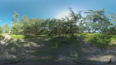Stock Video Family Exploring The Countryside In Vr Live Wallpaper For PC - Free Live Wallpaper